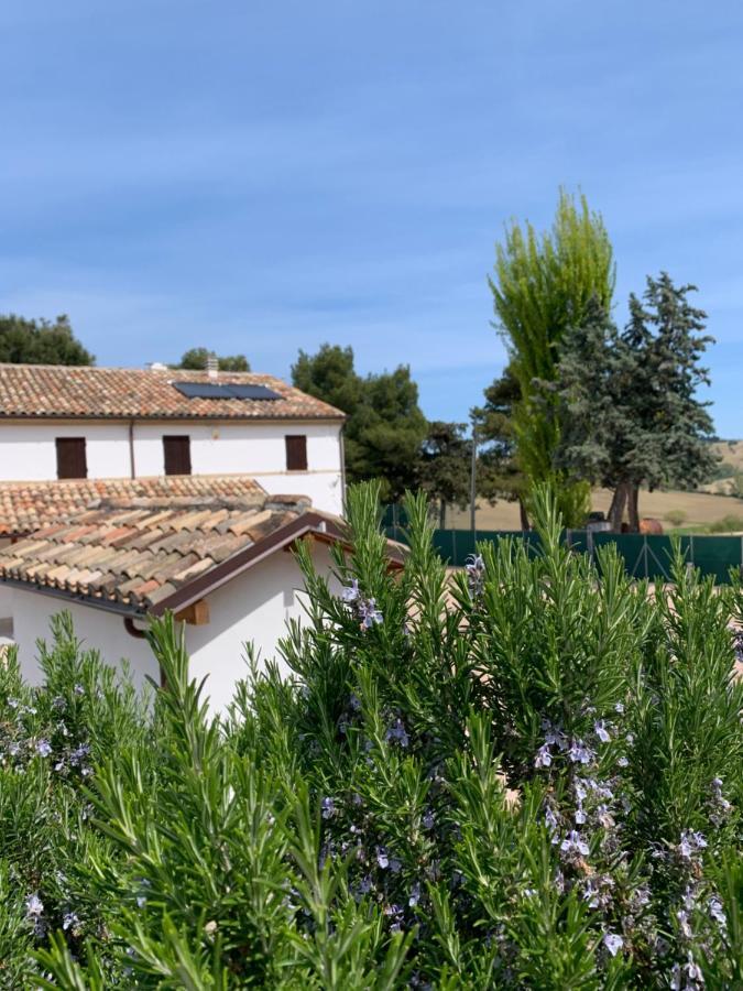 Naturaverde Country House Senigallia Buitenkant foto