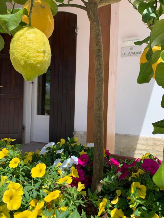 Naturaverde Country House Senigallia Buitenkant foto