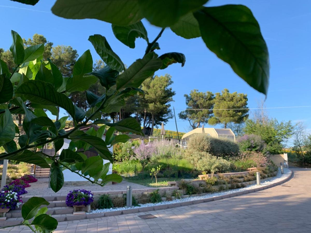 Naturaverde Country House Senigallia Buitenkant foto