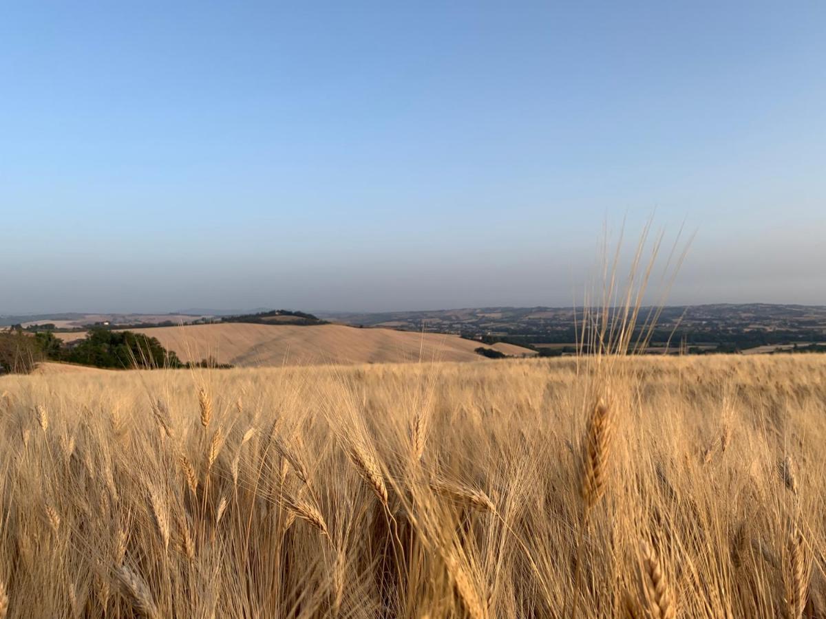Naturaverde Country House Senigallia Buitenkant foto