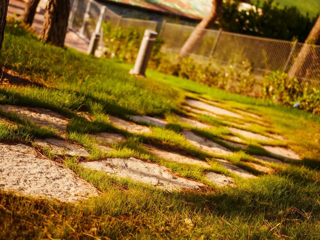 Naturaverde Country House Senigallia Buitenkant foto